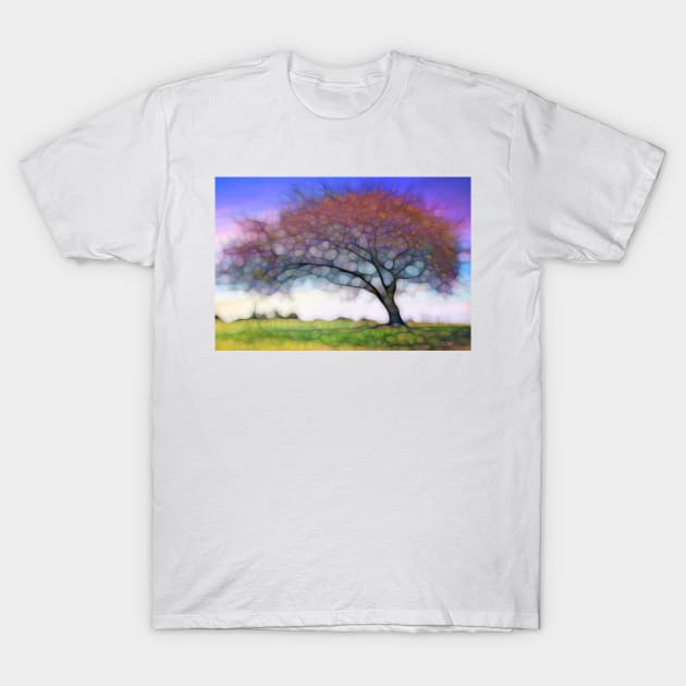 Fluffy tree T-Shirt by redwitchart